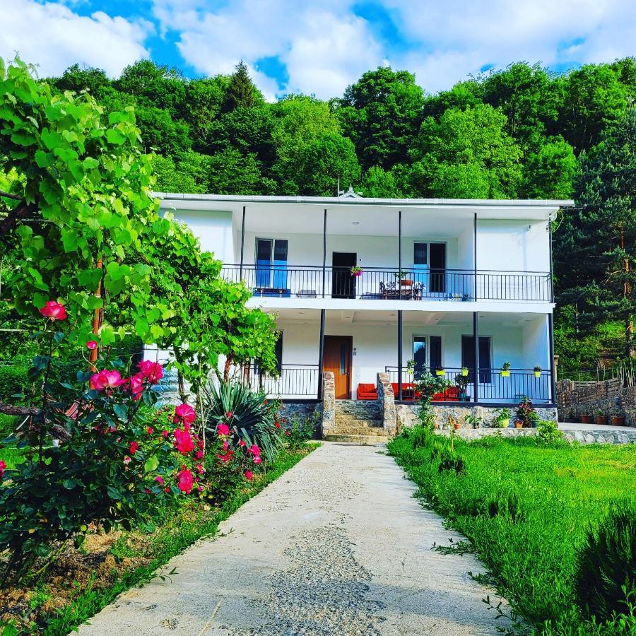 Family Hotel Mountain Panorama Borjomi Exterior foto